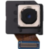 Camara Back S9 USA