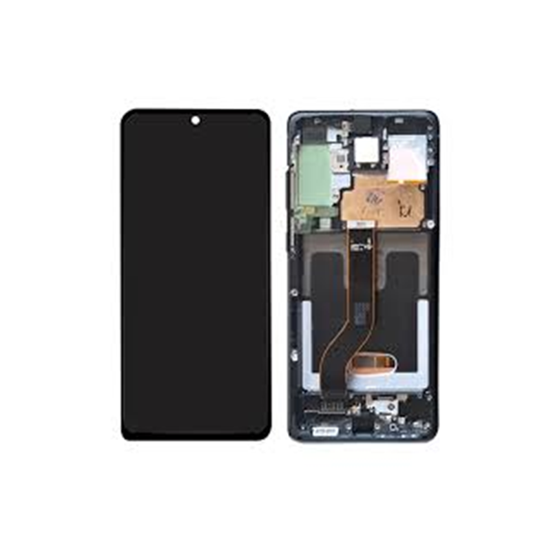 Modulo S20+