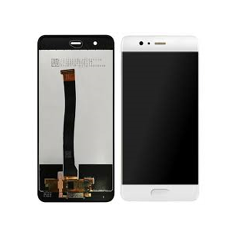 Modulo P10 Plus