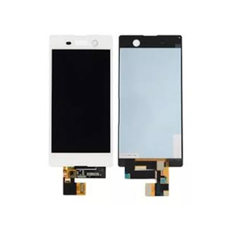 Modulo M5 Dual